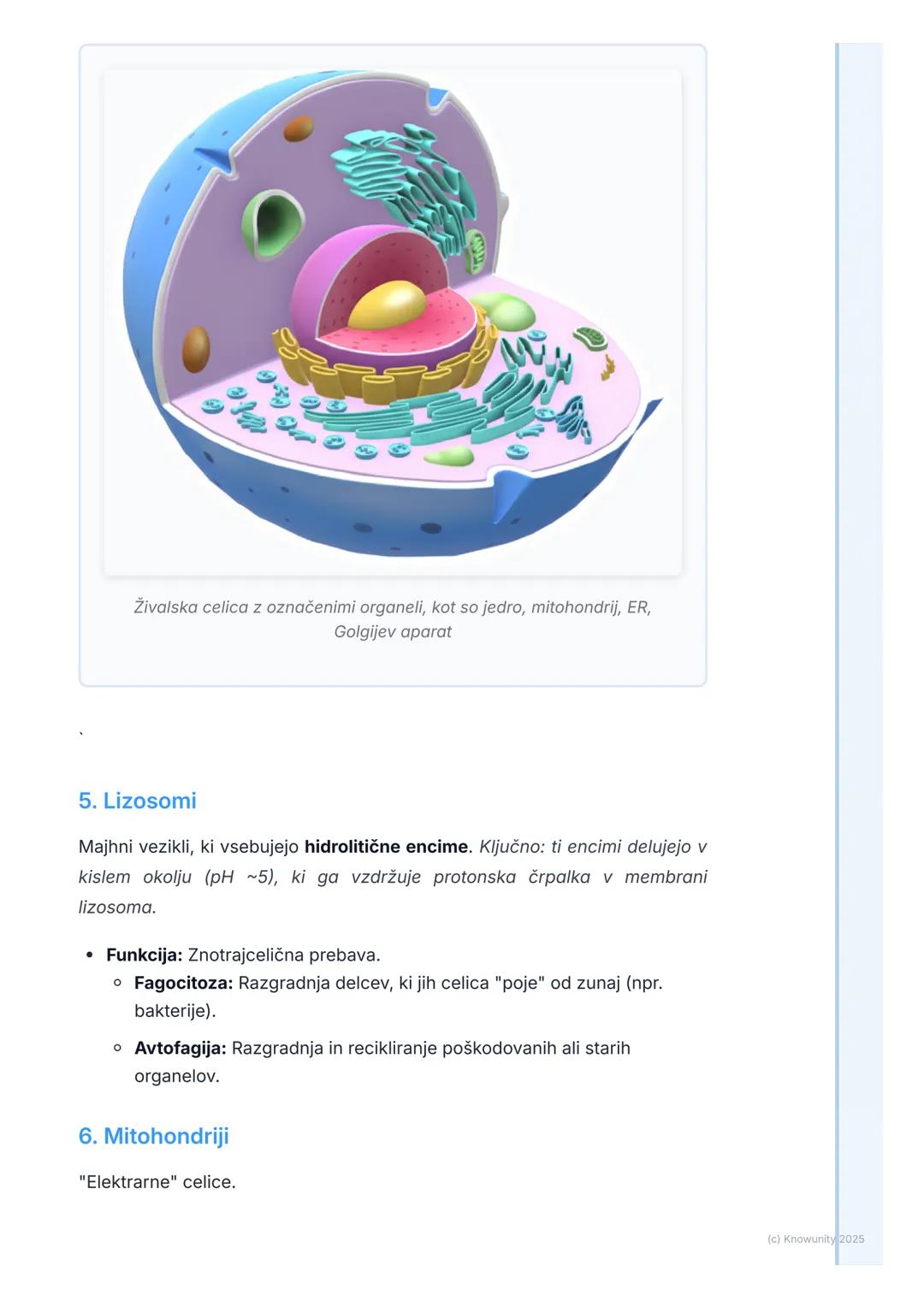 # Zgradba in funkcija celičnih
organelov

Pregled in uvod

Celica je osnovna gradbena in funkcionalna enota vseh živih bitij. Znotraj
celice