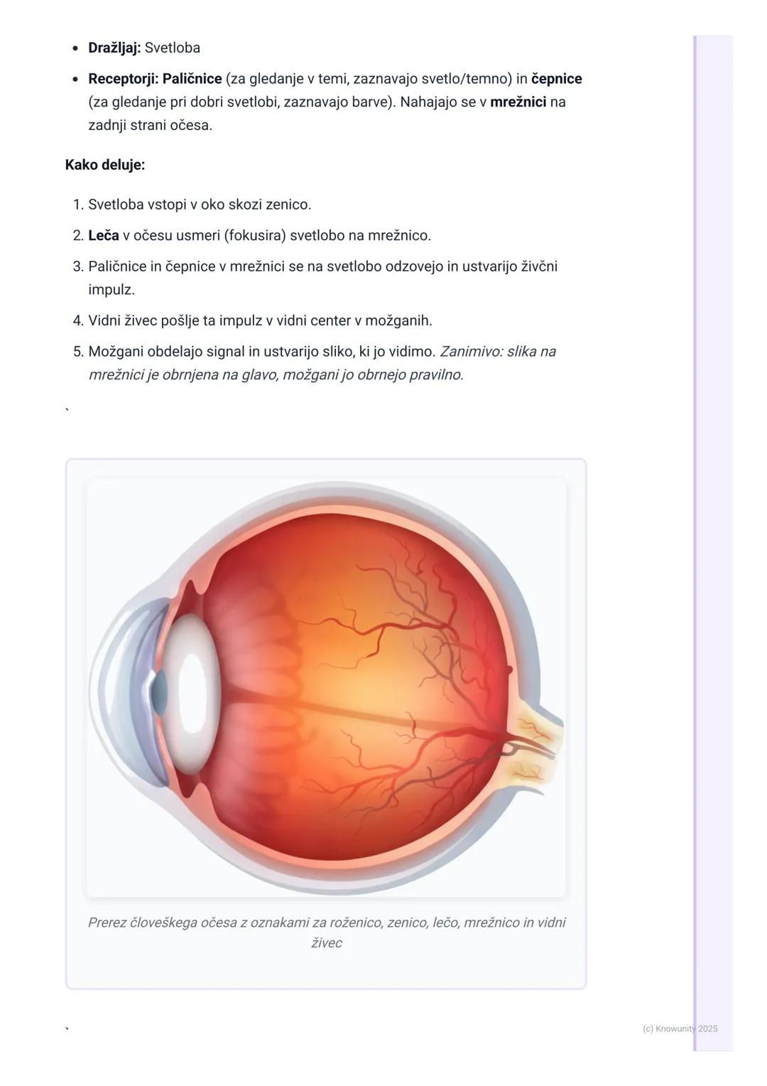 # Čutila

Uvod v čutila

Čutila so naš stik s svetom. Z njimi zaznavamo vse, kar se dogaja okoli nas in v
našem telesu. Brez njih ne bi vede