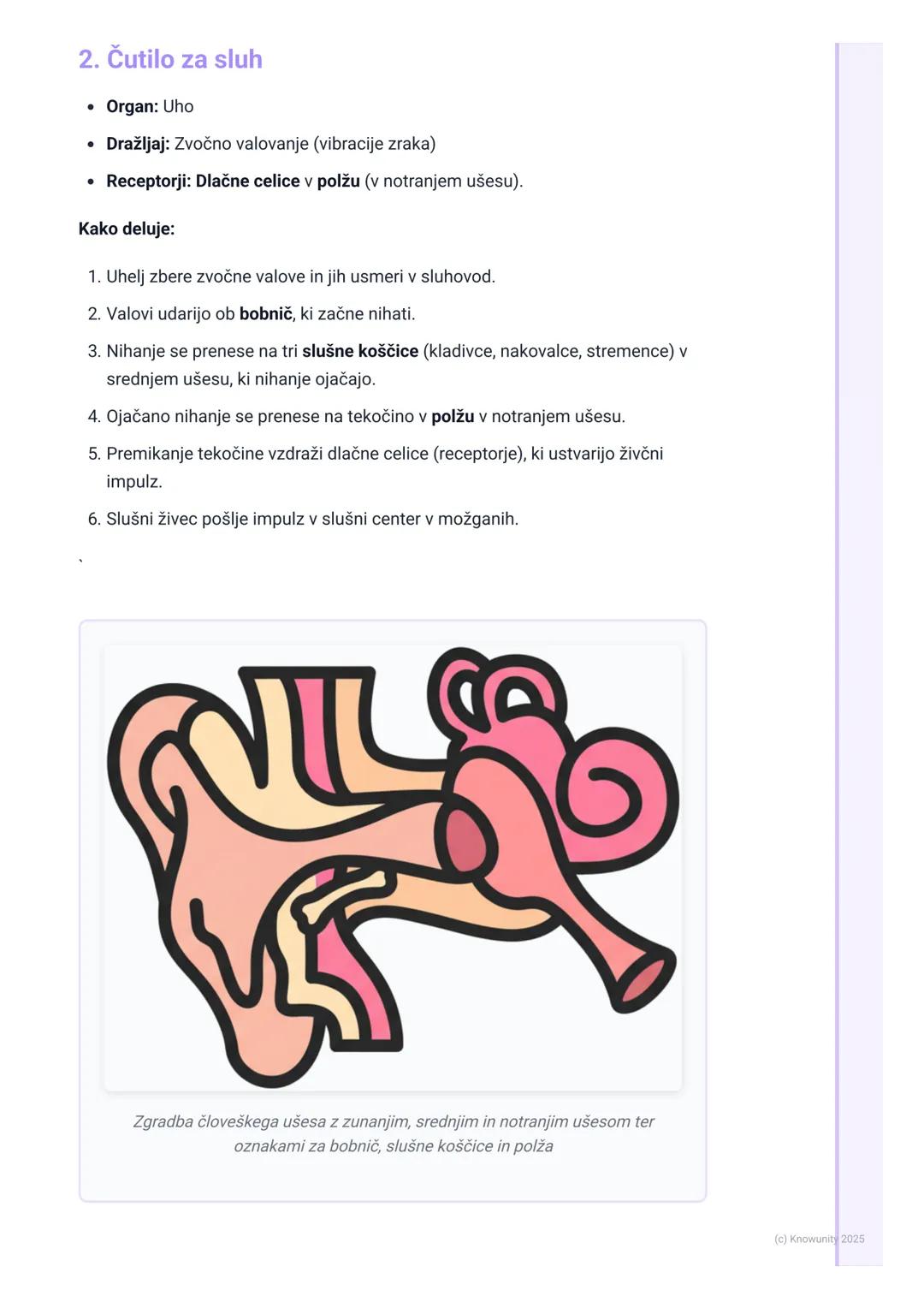# Čutila

Uvod v čutila

Čutila so naš stik s svetom. Z njimi zaznavamo vse, kar se dogaja okoli nas in v
našem telesu. Brez njih ne bi vede