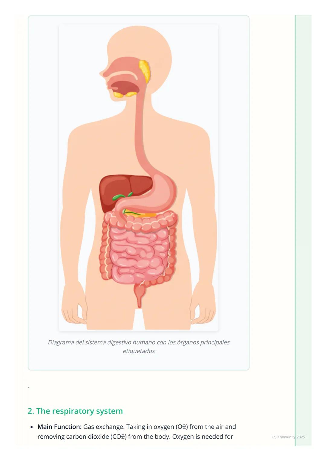 # Human Body Systems

An overview of body systems

Okay, so the human body is incredibly complex. It's not just one big thing,
but a collect