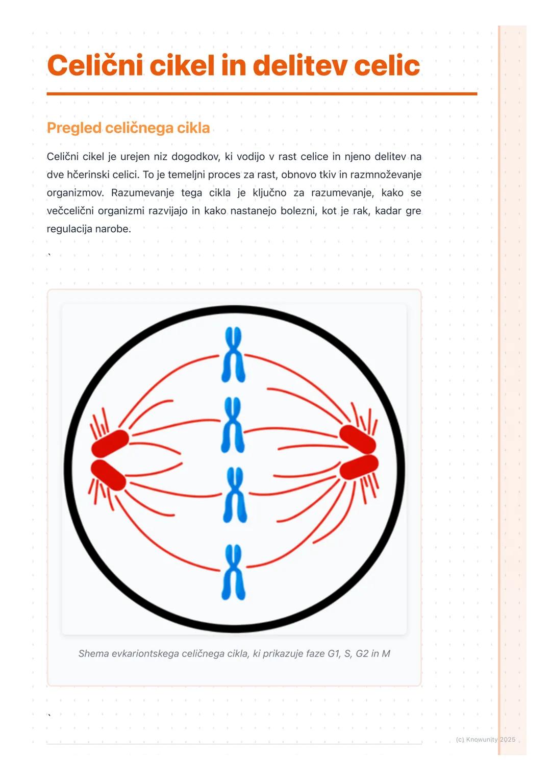 # Celični cikel in delitev celic

Pregled celičnega cikla

Celični cikel je urejen niz dogodkov, ki vodijo v rast celice in njeno delitev na