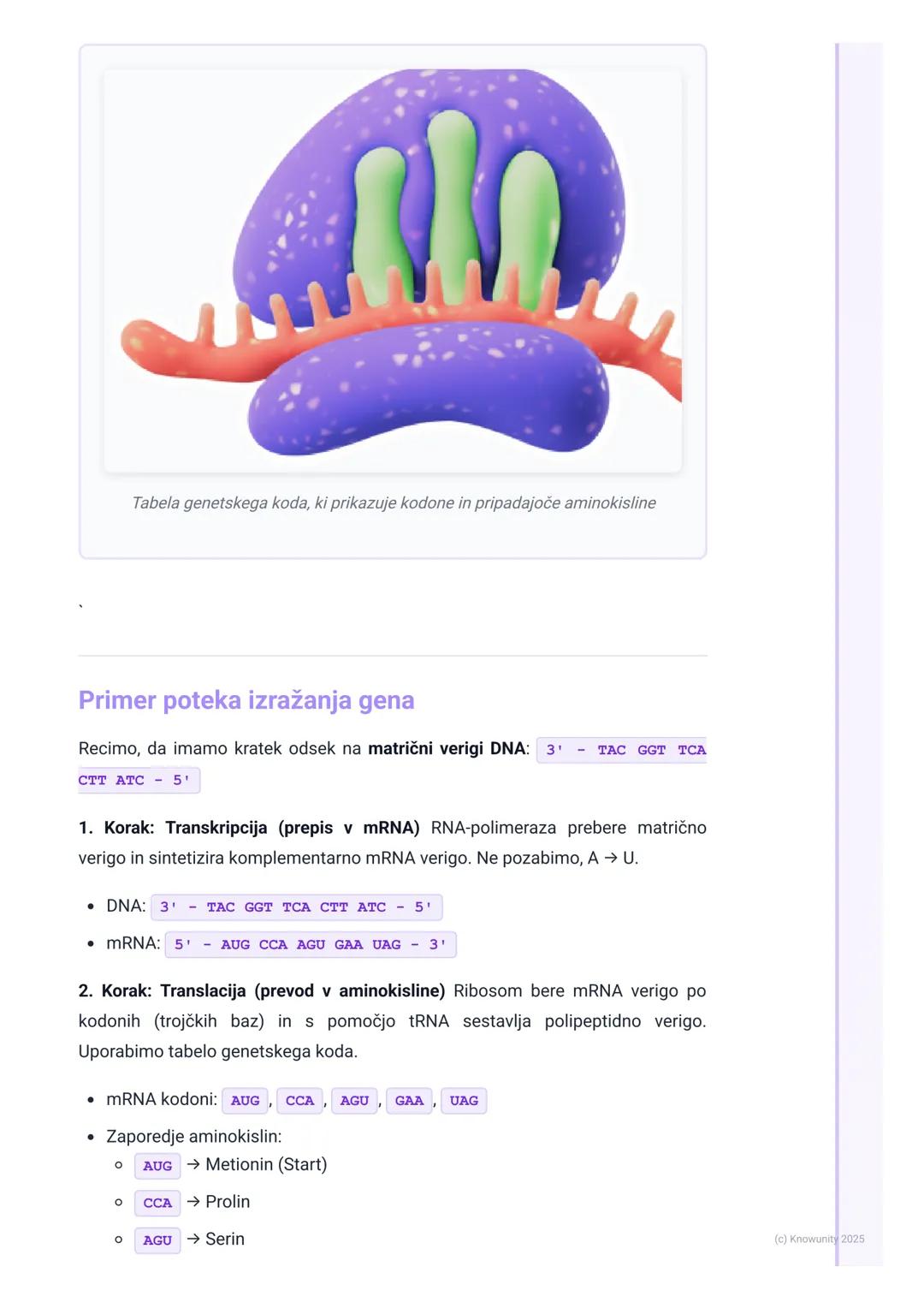 # Potek genskega izražanja

Pregled osrednje dogme molekularne biologije

Osrednja dogma opisuje pretok genetske informacije znotraj biološk