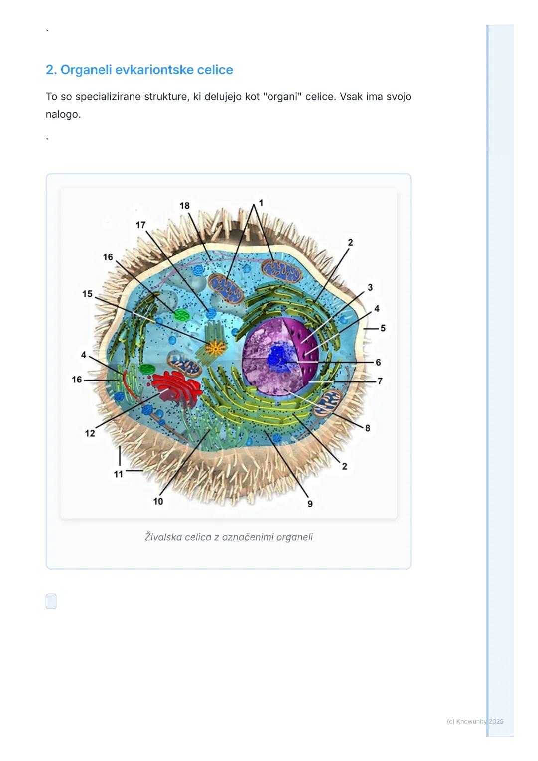 # Zgradba in delovanje celice

Uvod v zgradbo celice

Celica je osnovna gradbena in dejavna enota vseh živih bitij. Vse, kar se
dogaja v org