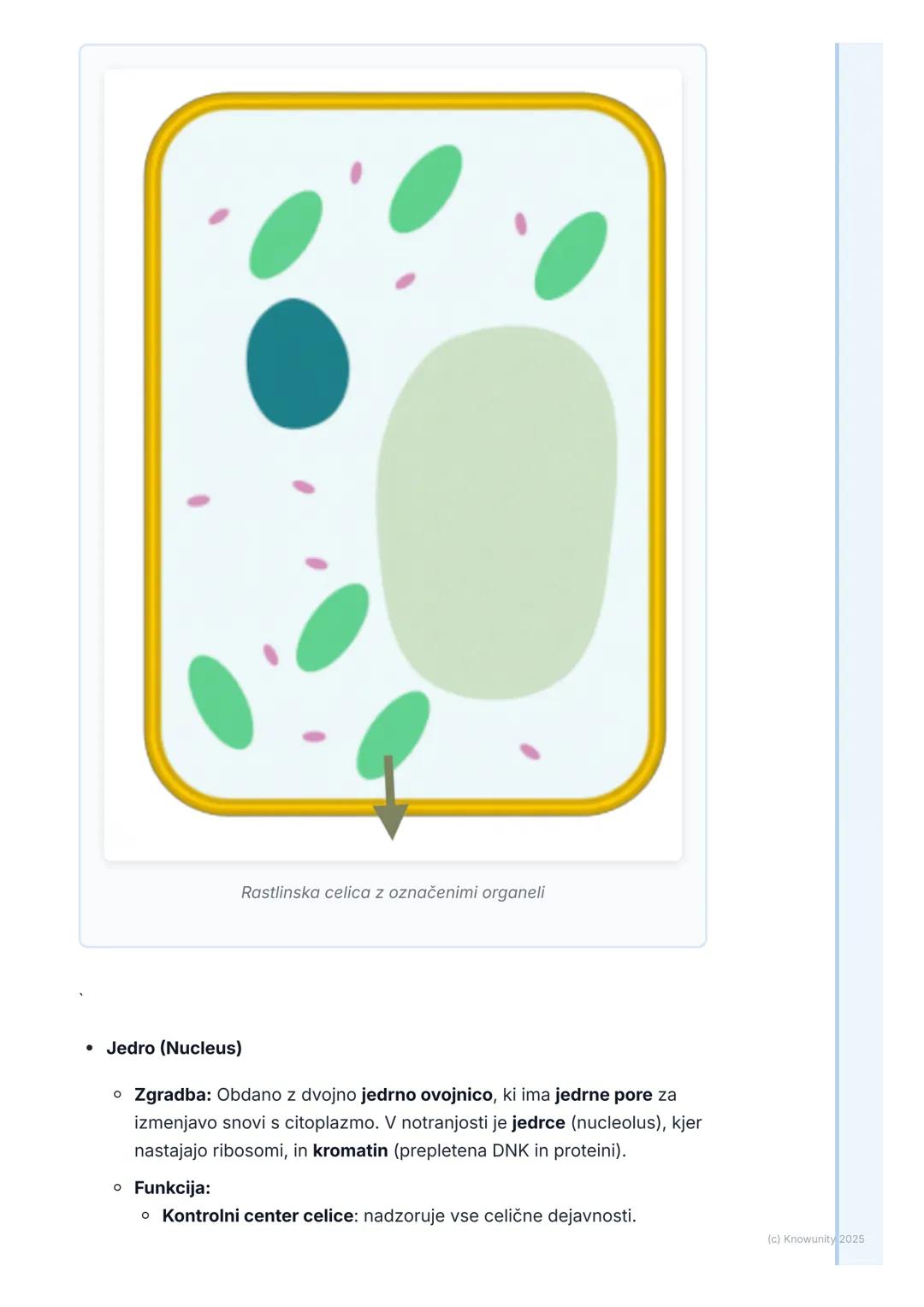 # Zgradba in delovanje celice

Uvod v zgradbo celice

Celica je osnovna gradbena in dejavna enota vseh živih bitij. Vse, kar se
dogaja v org