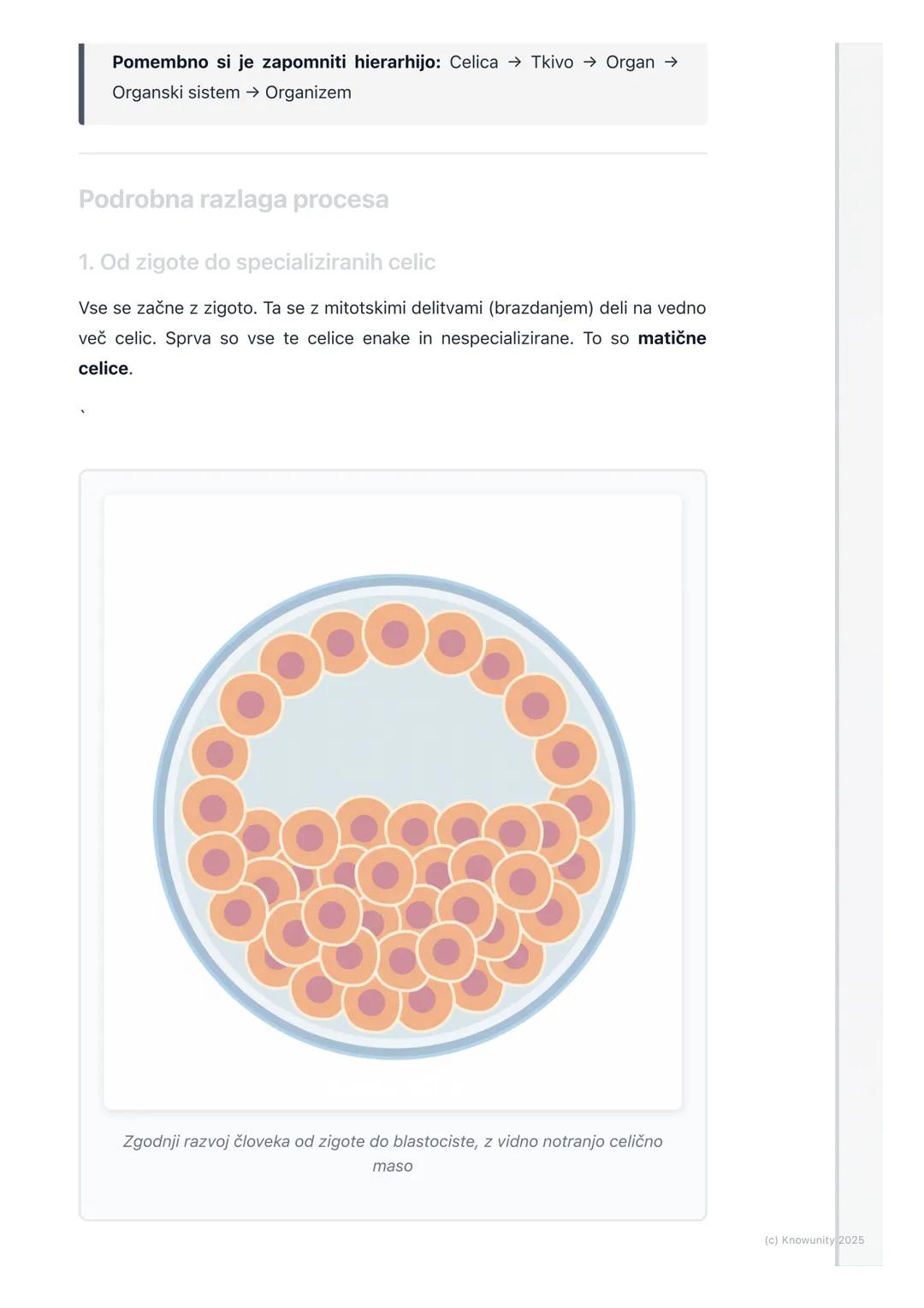 # Diferenciacija celic in
nastanek tkiv

Uvod v diferenciacijo celic

Vsi kompleksni, večcelični organizmi, kot smo ljudje, se začnemo kot e