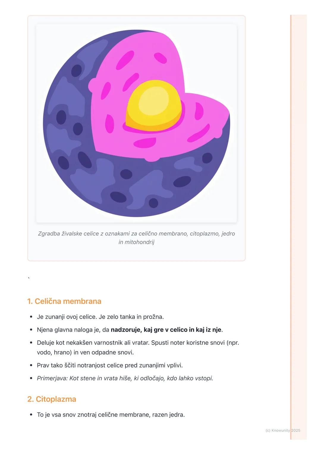 # Zgradba živalske celice

Zgradba živalske celice

Živalske celice so osnovni gradniki vseh živali, tudi nas ljudi. So zelo majhne,
vidimo 