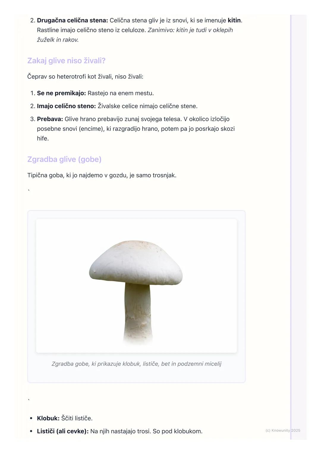 # Glive - posebna skupina živih
bitij

## Uvod: Kaj so glive?

Glive so posebna skupina živih bitij. Niso ne rastline ne živali, ampak imajo