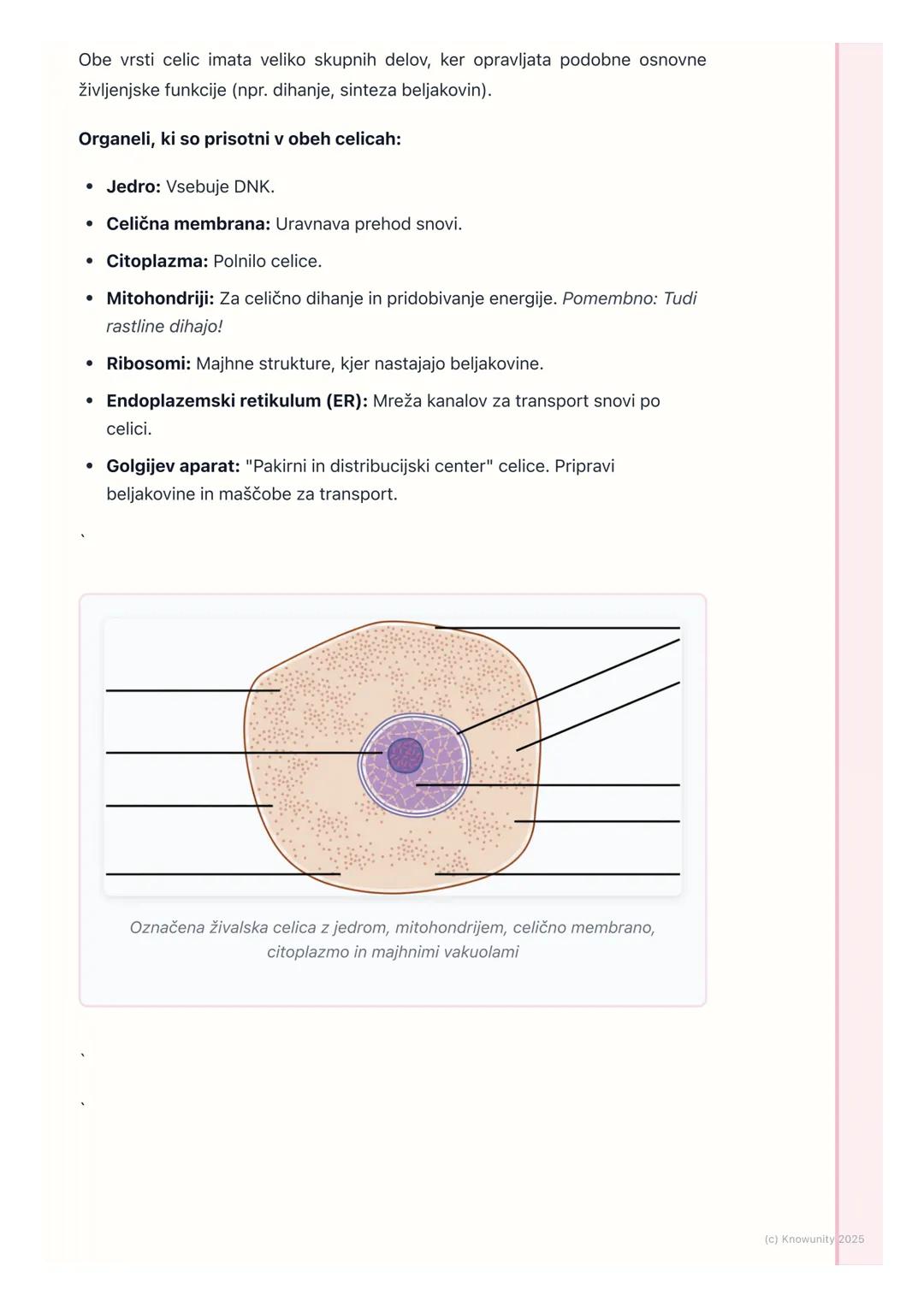 # Rastlinska in živalska celica

Splošna primerjava celic

Vse živali in rastline so zgrajene iz evkariontskih celic. To pomeni, da imajo
ce
