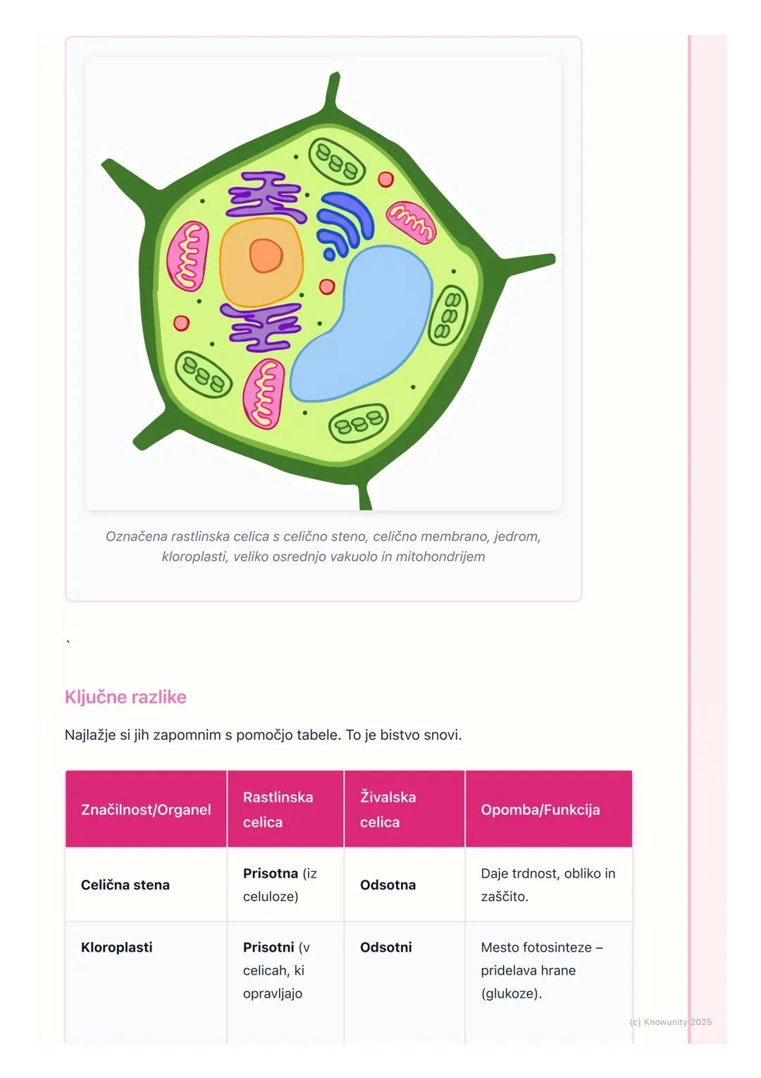 # Rastlinska in živalska celica

Splošna primerjava celic

Vse živali in rastline so zgrajene iz evkariontskih celic. To pomeni, da imajo
ce