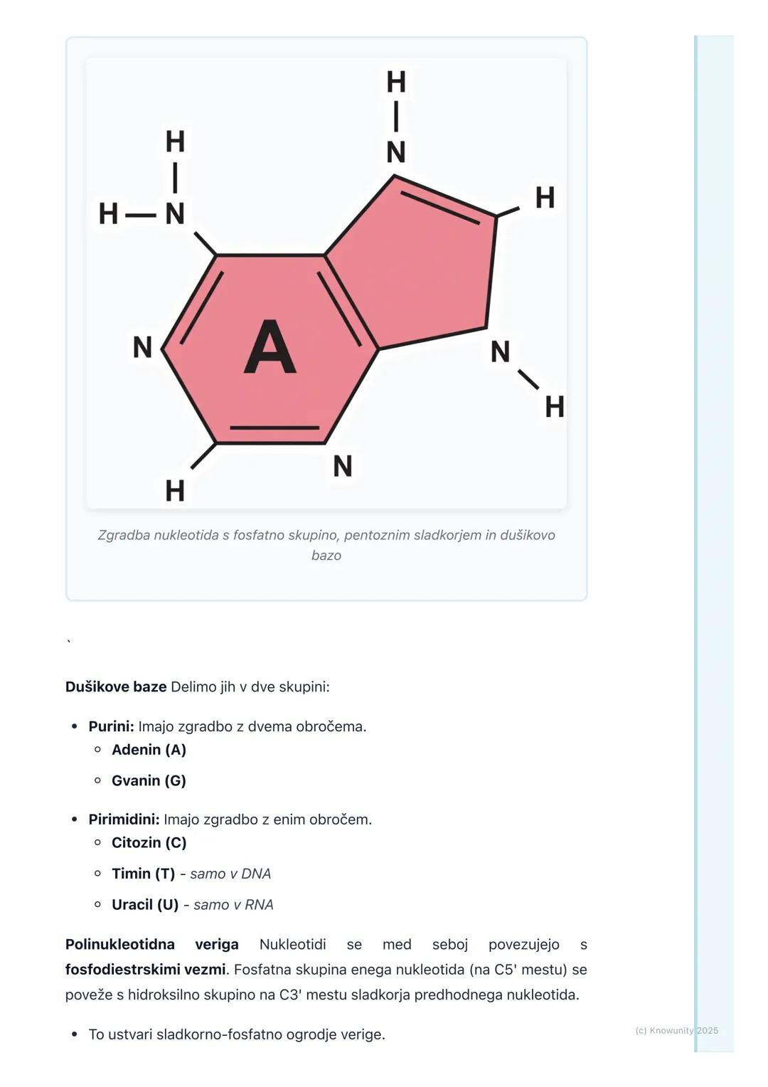 # Nukleinske kisline

Splošni uvod v nukleinske kisline

Nukleinske kisline so ključne makromolekule za vsa živa bitja. So polimeri,
sestavl
