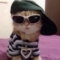 user profile picture