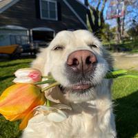 user profile picture