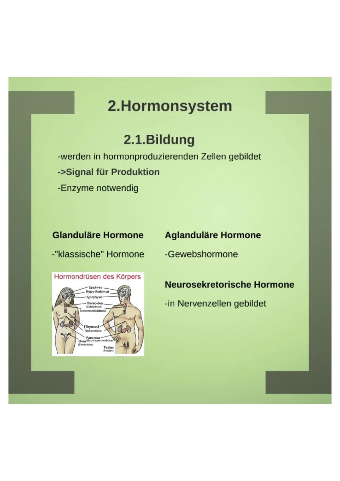 1.Hormone
1.1.Definition
-chemische Signal- und Botenstoffe
-übermitteln Informationen und
regeln wichtige Vorgänge
1.2.Klassifizierung
-U