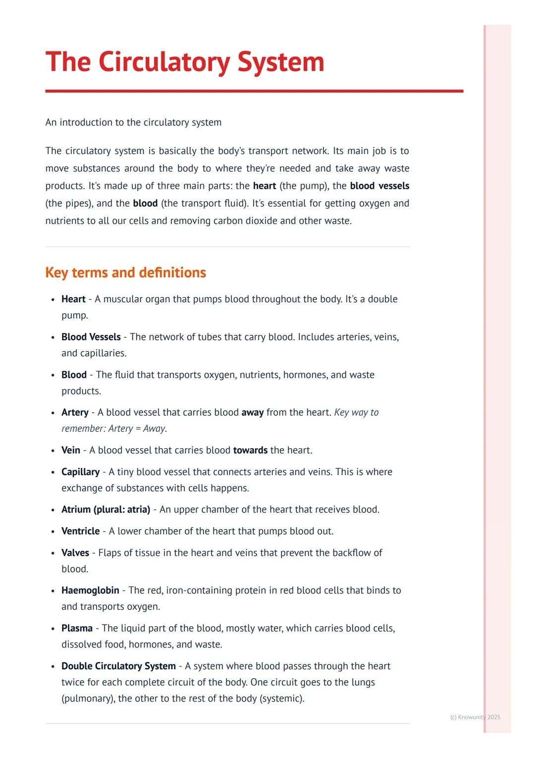 # The Circulatory System
An introduction to the circulatory system
The circulatory system is basically the body's transport network. Its m