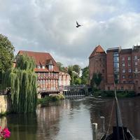 user profile picture