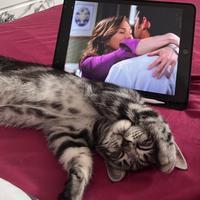 user profile picture